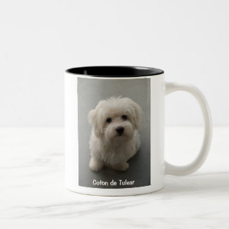 2 Couleurs Tasse de coton