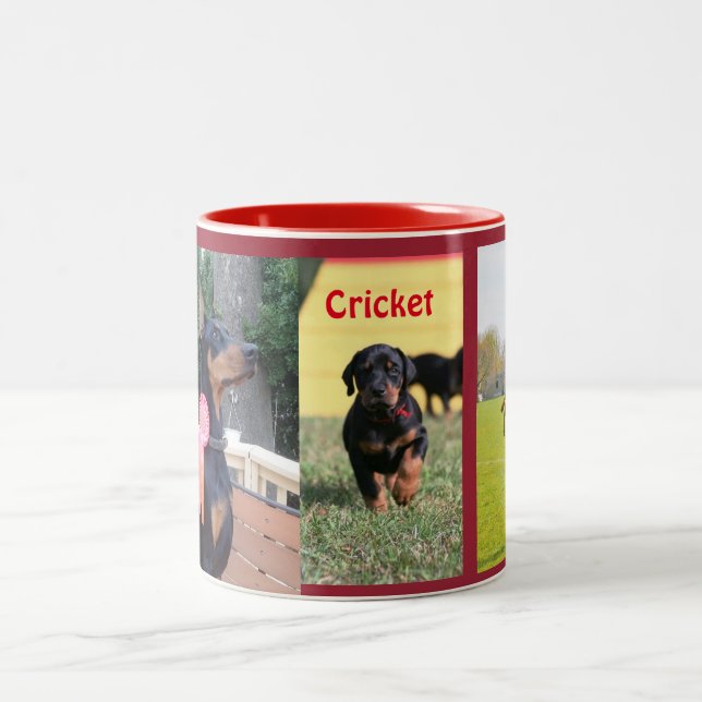 2 Couleurs Tasse de cricket (Centre)