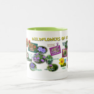 2 Couleurs tasse de fleurs sauvages de hv19 l'Oklahoma