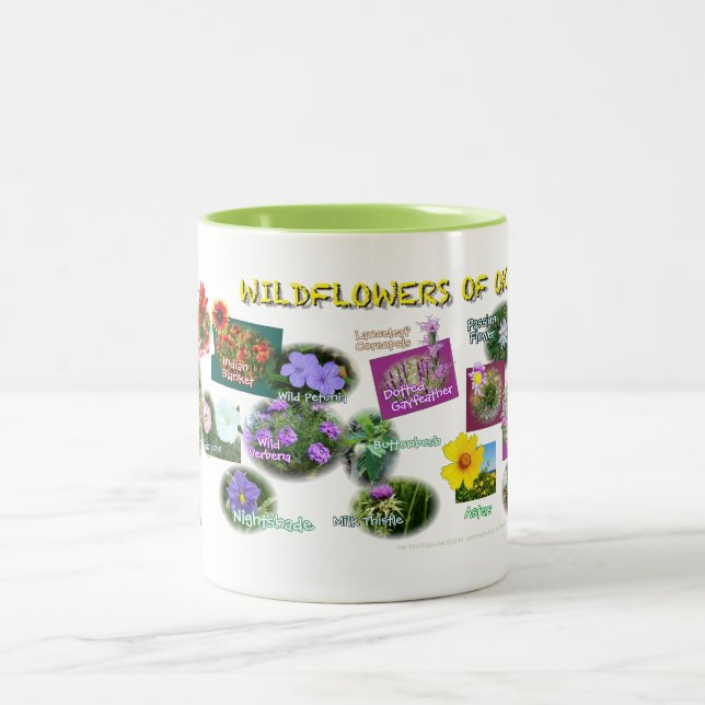 2 Couleurs tasse de fleurs sauvages de hv19 l'Oklahoma (Centre)