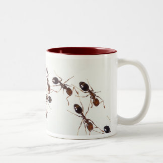2 Couleurs tasse de fourmi