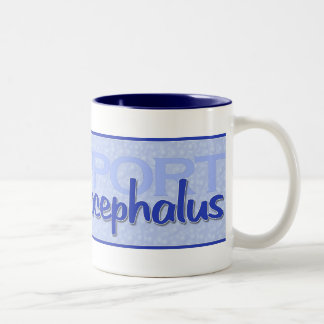 2 Couleurs Tasse "de hydrocéphalie de soutien"