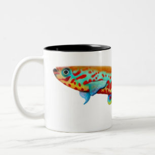 2 Couleurs Tasse de Killifish de Fundulopanchax Gardneri