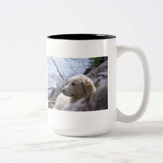 2 Couleurs Tasse de "Kuvasz"