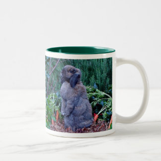 2 Couleurs Tasse de lapin - customisée