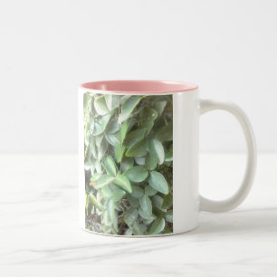 2 Couleurs tasse de photo de qualité