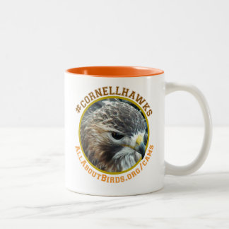 2 Couleurs Tasse de photo d'Ezra