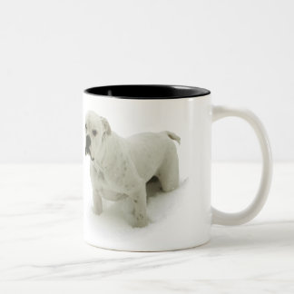 2 Couleurs Tasse de Taureau de neige