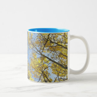 2 Couleurs Tasse de ton de l'arbre deux d'Aspen