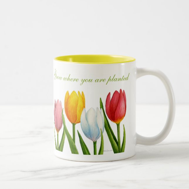 2 Couleurs Tasse de tulipe de ressort (Droit)