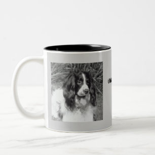2 Couleurs Tasse d'épagneul de springer anglais