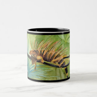 2 Couleurs Tasse d'iguane de Rasta