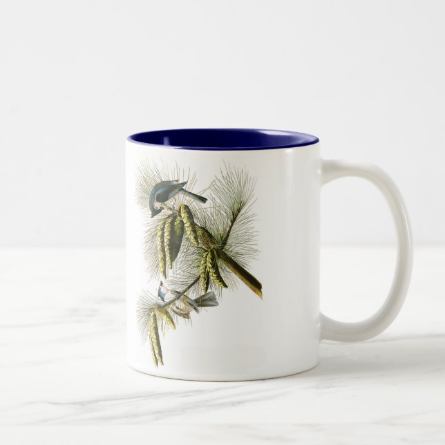 2 Couleurs Tasse d'oiseau d'Audubon, mésange tuftée, 15 onces (Droit)