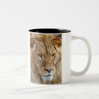 2 Couleurs Tasse du lion de Bubba.