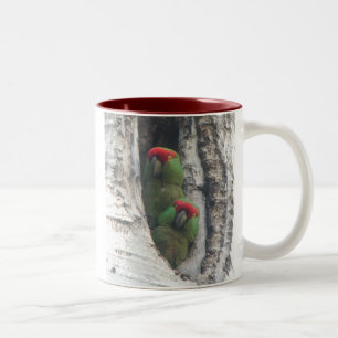 2 Couleurs tasse Épais-affichée de perroquet, droit-manipul