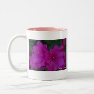 2 Couleurs Tasse fuchsia d'azalées
