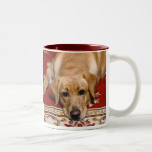 2 Couleurs Tasse jaune de laboratoire
