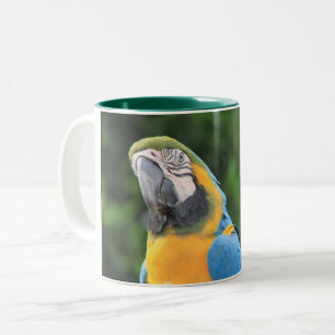 2 Couleurs Tasse Perroquet