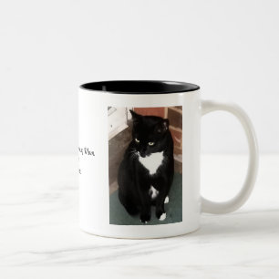 2 Couleurs Tasse personnalisée de modèle photo d'animal
