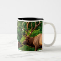 Tasse romantique d'élans