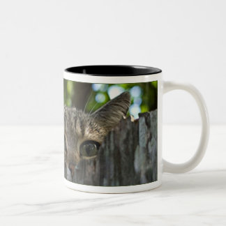 2 Couleurs Tasse sauvage d'ISIS de chat