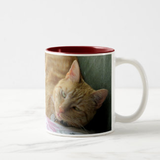 2 Couleurs Tasse tigrée orange avec le vers