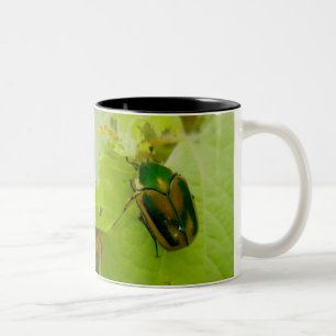 2 Couleurs Tasse verte de scarabée de juin