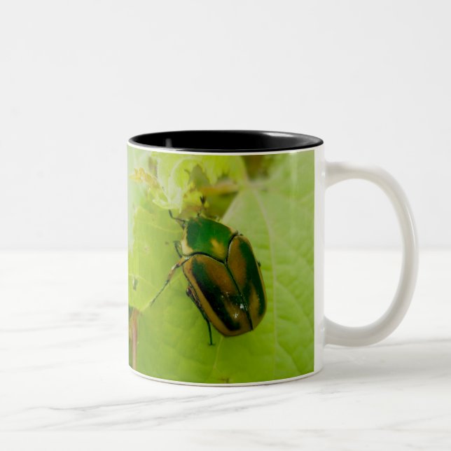 2 Couleurs Tasse verte de scarabée de juin (Droit)