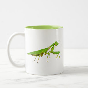 2 Couleurs Tasse verte géante de mante de prière