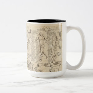 2 Couleurs Tasse vintage d'anatomie humaine 