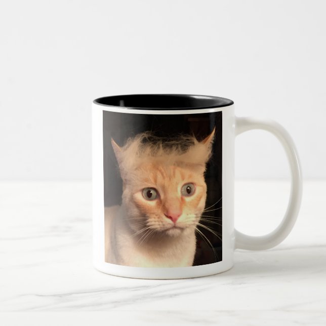 2 Couleurs Trump votre tasse de chat (Droit)