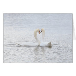 2 cygnes forment un coeur