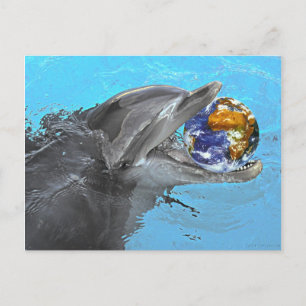 2 dauphins différents sur cette carte postale