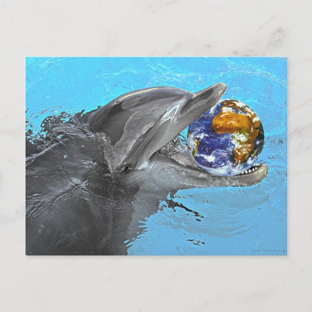 2 dauphins différents sur cette carte postale (Devant)