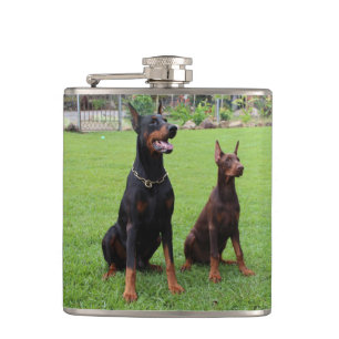 2 DOBERMANN FLACHMANN