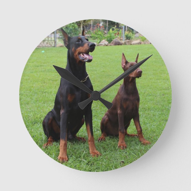 2 Dobermann.png Runde Wanduhr (Vorderseite)