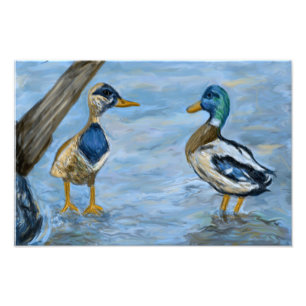 2 Enten in einem Gespräch_0185_n400_tele Fotodruck
