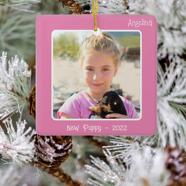 2-Foto-2-seitiges Pink-Sonderereignis oder Meilens Keramikornament (Von Creator hochgeladen)