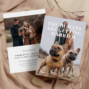 2 Foto Einfache lustige Hundehochzeit Save The Date