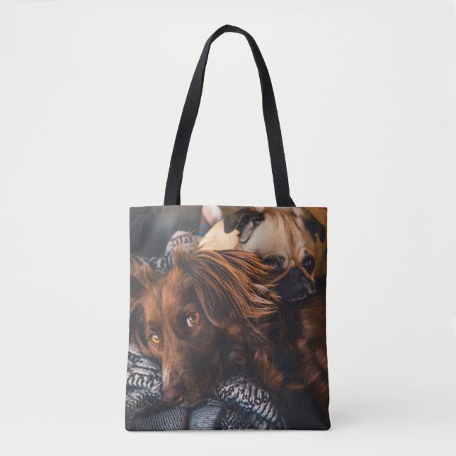 2 Foto für die Beilage des Begleiters hinzufügen Tasche (Vorderseite)