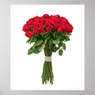 2 g. Exquisite Blume Poster