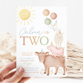 2. Geburtstagsfarm Animals Barnyard Party Boys Einladung