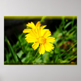 2 Gelbe Blumen Poster