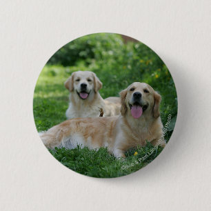 2 goldene Retriever, die in Gras legen Button