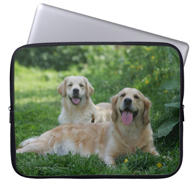2 goldene Retriever, die in Gras legen Laptopschutzhülle (Vorderseite)