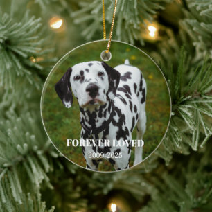 2 Haustierfotos & kostenloser Text personalisierte Keramik Ornament