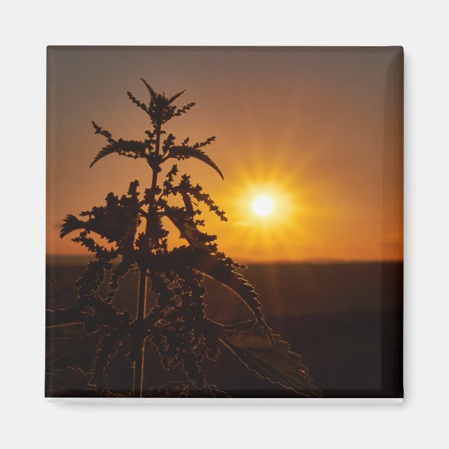 2 Inch Square Magnet mit schönem Sonnenuntergang (Vorne)