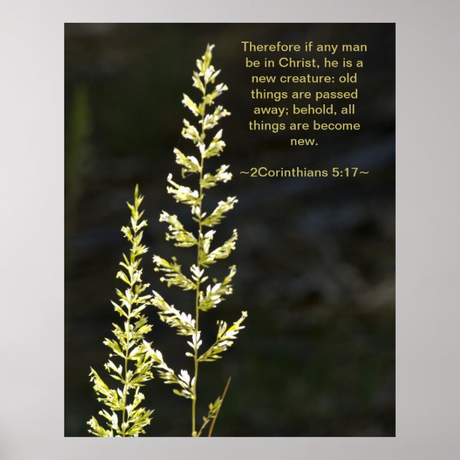 2 Korinther 5:17 Poster (Vorne)
