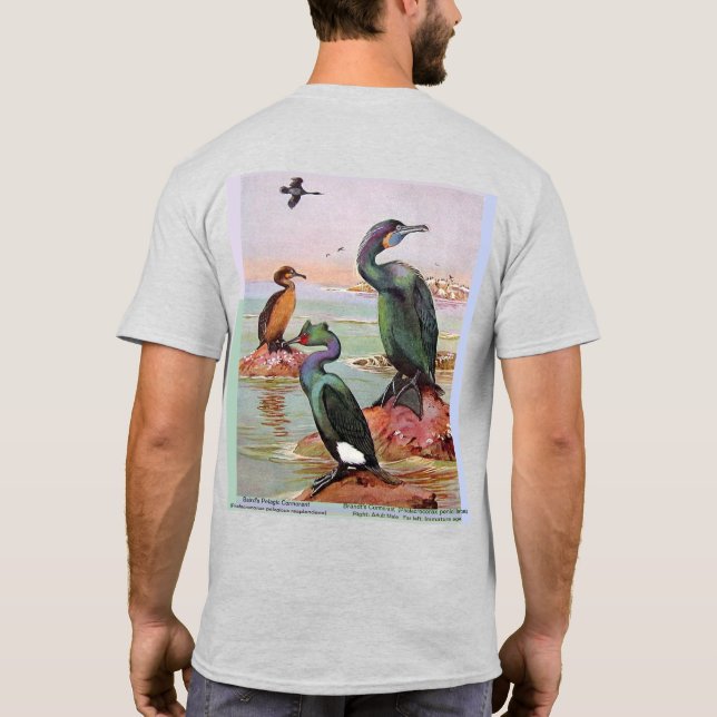 2 Kormorane Arten, Vorder-/Rückseite T-Shirt (Rückseite)