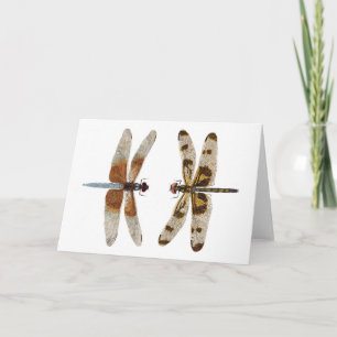 2 Libellen Karte